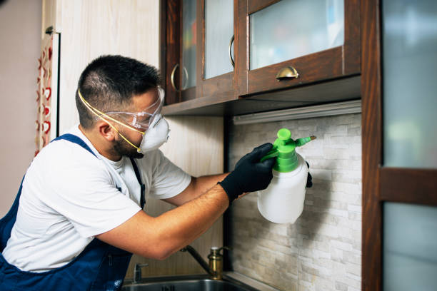 Best Pest Prevention Services  in West Jefferson, NC