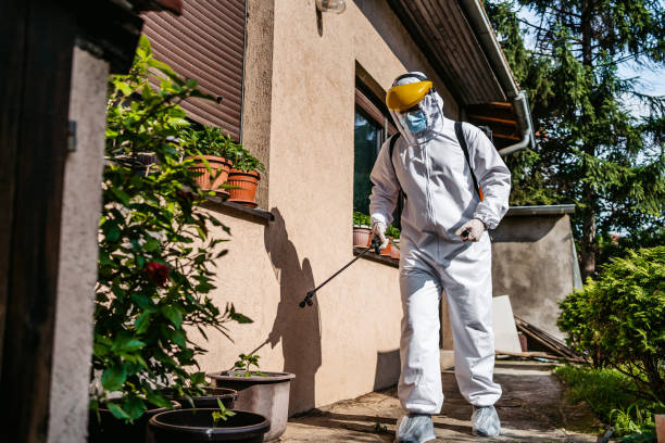  West Jefferson, NC Pest Control Pros