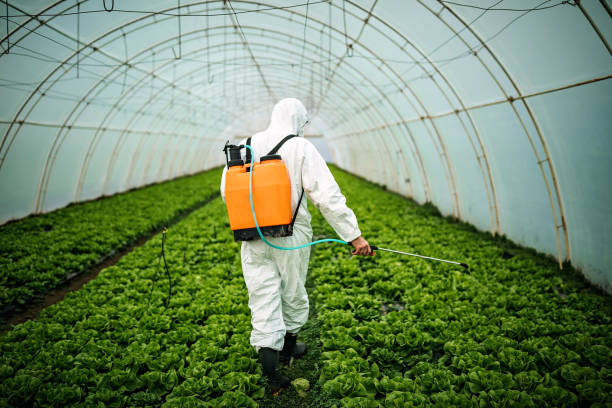 Best Mosquito Control Services  in West Jefferson, NC