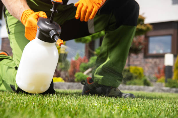 Best Wildlife Control Services  in West Jefferson, NC