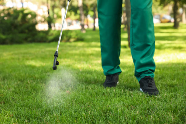 Best Pest Removal Services  in West Jefferson, NC