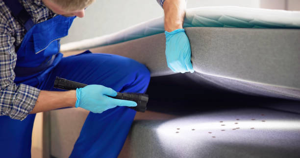 Best Pest Removal Services  in West Jefferson, NC