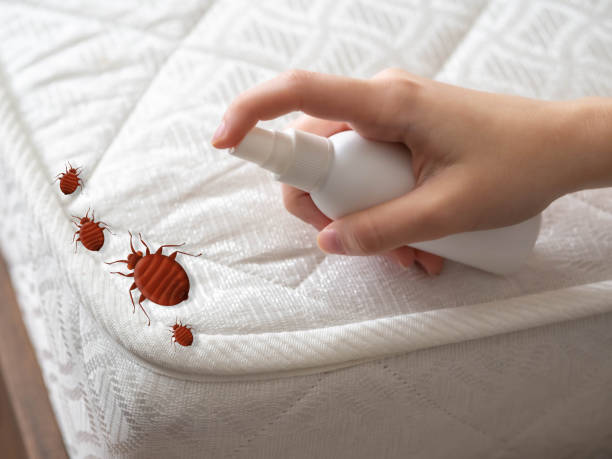 Best Commercial Pest Control Services  in West Jefferson, NC