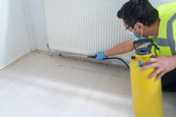 Best Residential Pest Control  in West Jefferson, NC