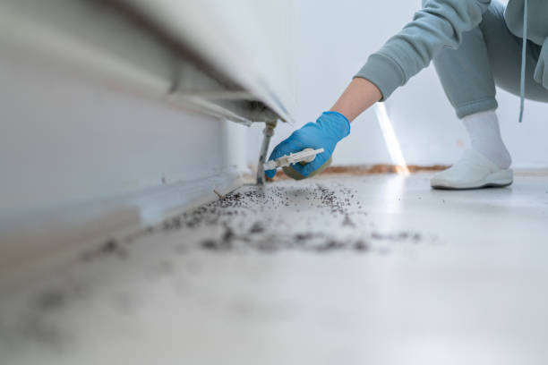 Best Affordable Pest Control Services  in West Jefferson, NC